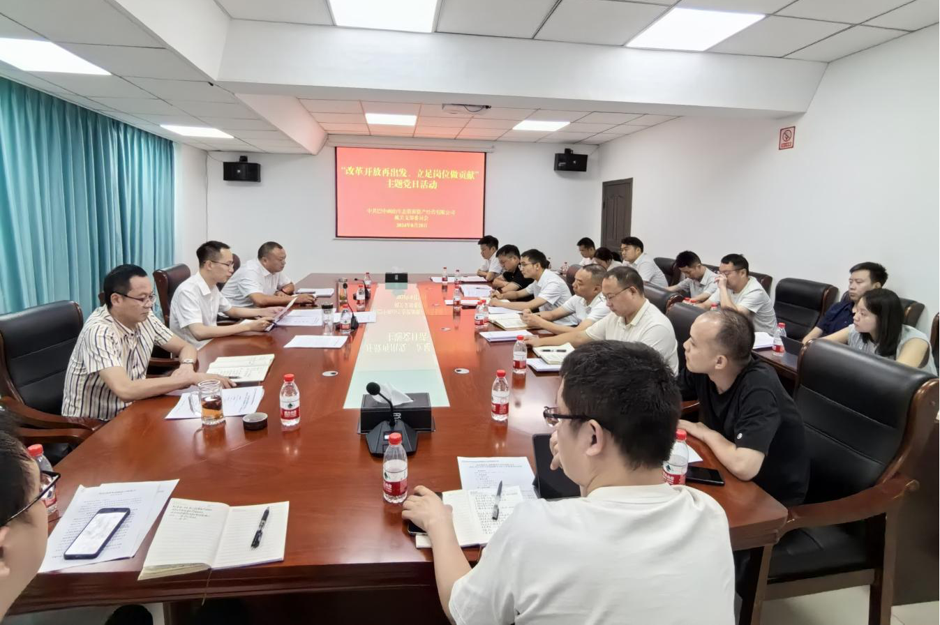 巴中兩山公司開展“改革開放再出發(fā)、立足崗位做貢獻”主題黨日活動