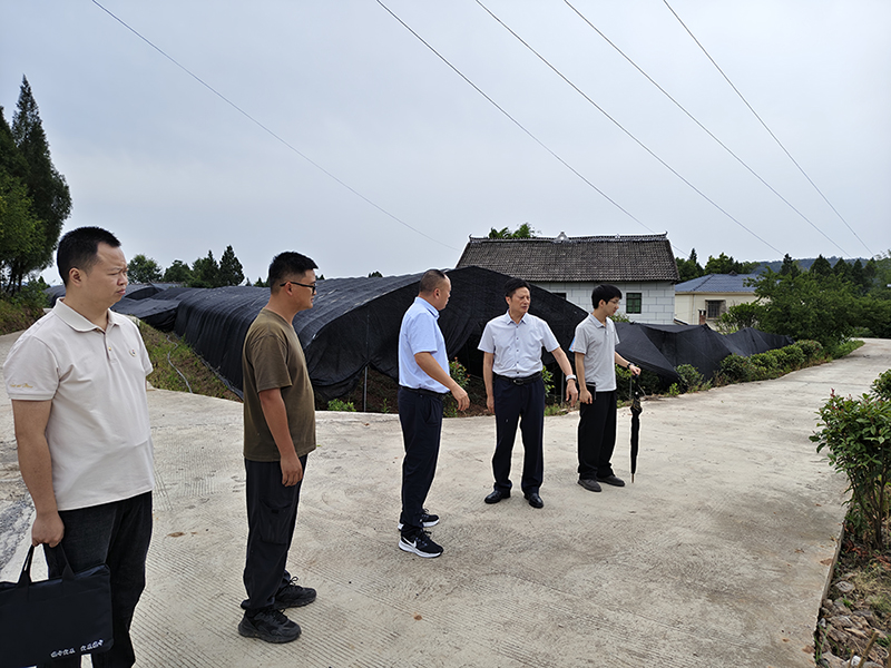 巴中發(fā)展集團(tuán)開展安全生產(chǎn)暗訪督查